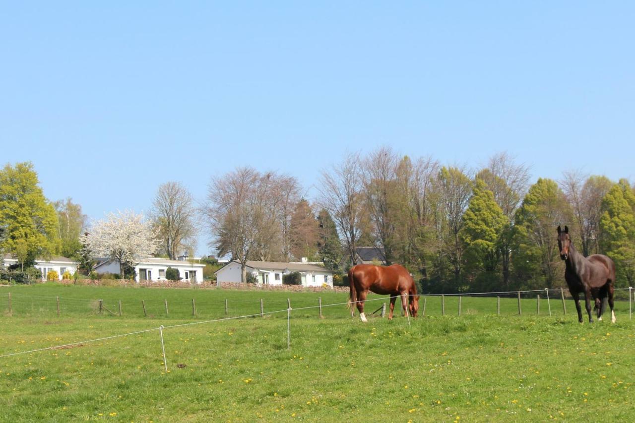 Domein Hellebeuk Met Uitzicht! Valkenburg/Klimmen Exterior photo